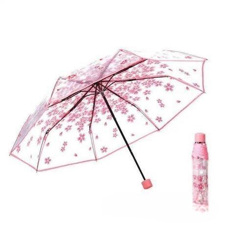 Transparent Umbrella