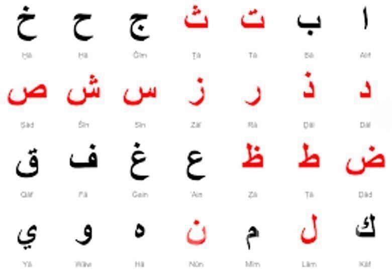 আরবি পড়াতে চাই