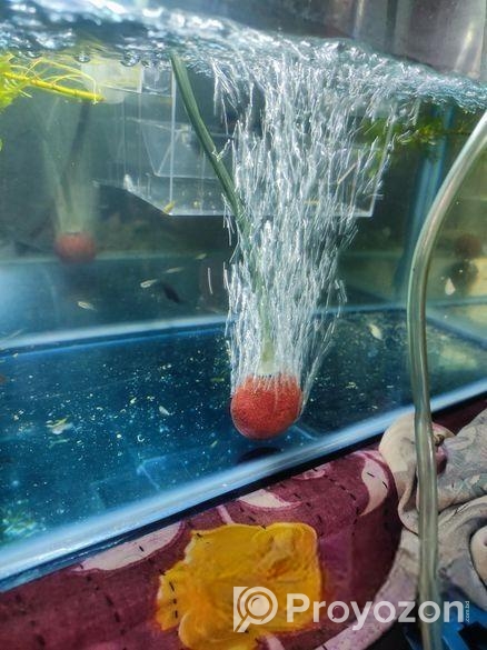 Aquarium Air stone