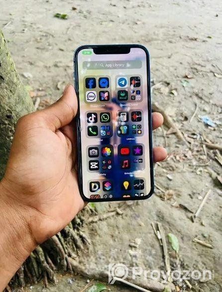 Apple iPhone 12 (Used)