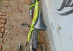 Bicycle for sale