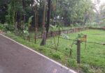 রাস্তার সাথে ১৩ শতাংশ দক্ষিণ মুখি বর্গাকার চমৎকার