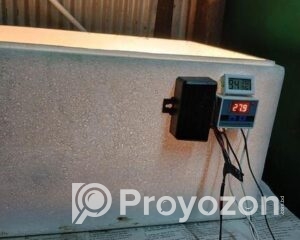fitted-2025-07-28T120200.484_2025-07-28_12-02-53