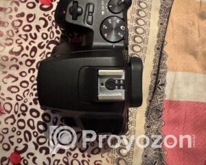 fitted-2025-07-28T124752.729_2025-07-28_12-49-16