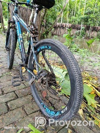 Cyrus(g) Bicycle