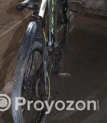 fitted-2025-07-29T135231.040_2025-07-29_13-52-48