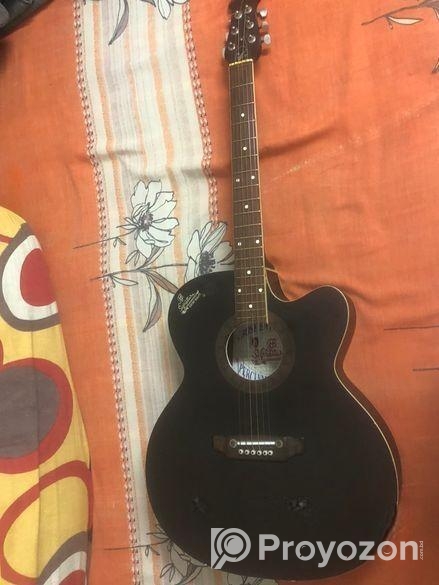 Signature Guiter