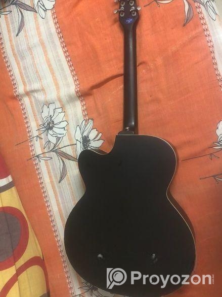 Signature Guiter
