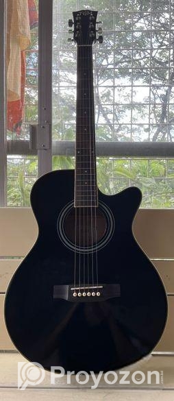 Acoustic TGM Gitter