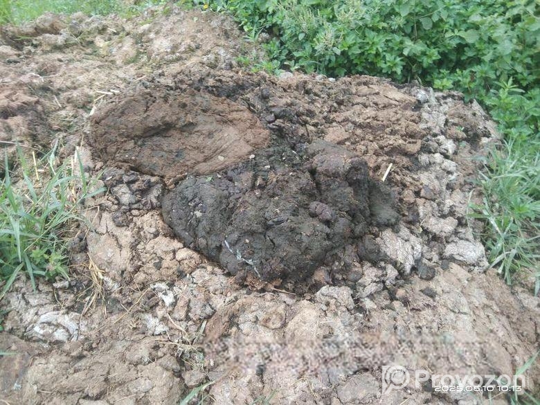 গোবর বিক্রি করা হবে