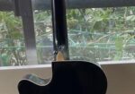 Acoustic TGM Gitter