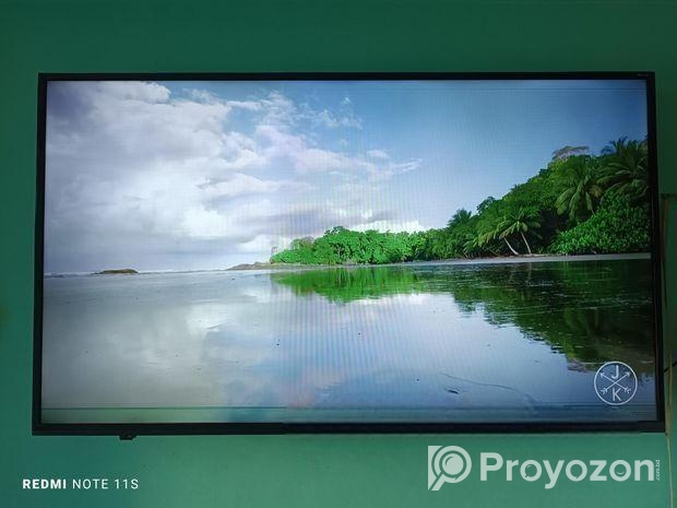 Walton 49inch tv