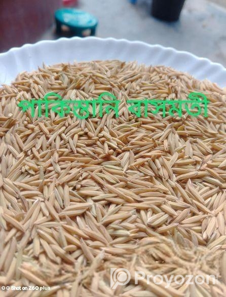 পাকিস্তানি বাসমতী ধানের বীজ