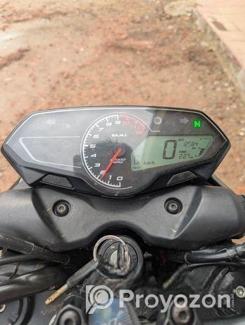 Bajaj Pulsar N250 2024