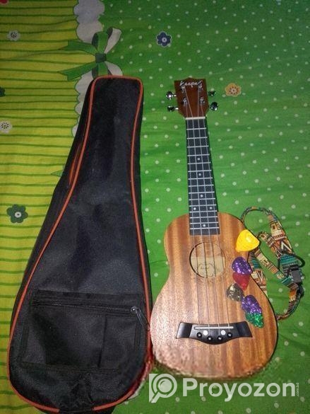 Guitar for sell