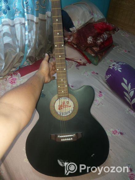 Signature Guitar