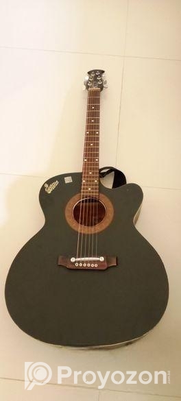 Acoustic guitar