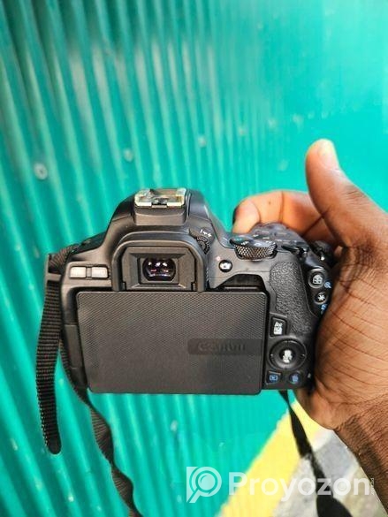 Canon EOS 250D | 85mm Lens