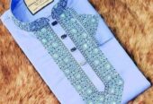 Stylish Punjabi ‍Bikri Hobe