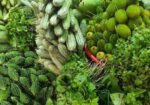 বিভিন্ন ধরনের কাচা সবজি বিক্রি করা হয়