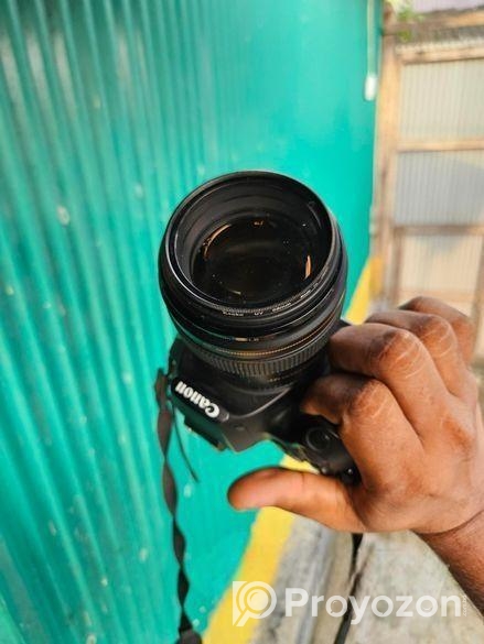 Canon EOS 250D | 85mm Lens