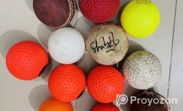ক্রিকেট খেলার সরঞ্জাম