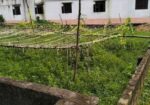 জমি বিক্রয় করা হবে।