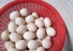 সাদা চিনা হাসেঁর বীজ ডিম বিক্রি হবে