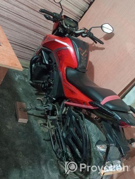 Honda Hornet . 2019