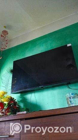 Golden star 43″