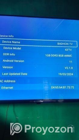 Golden star 43″