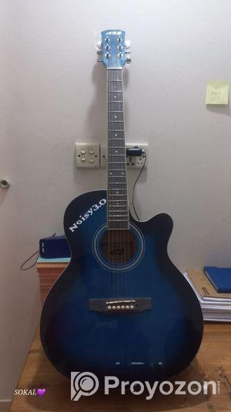 Guiter Sell Post