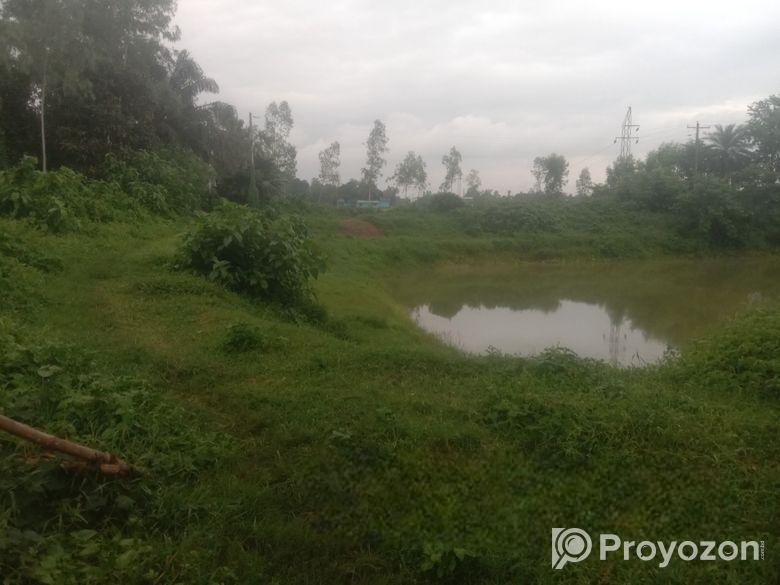 Land for sale