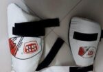 Cricket kit