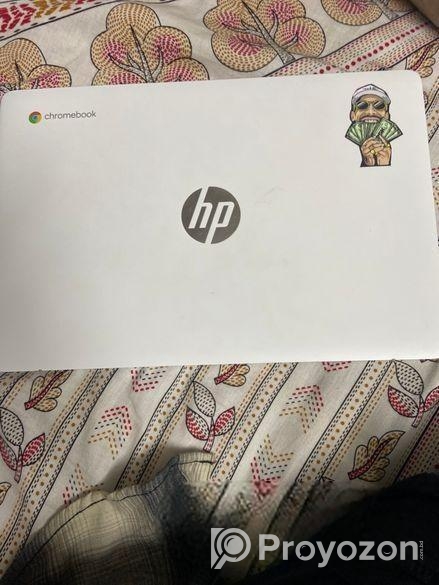 Hp Choromebook