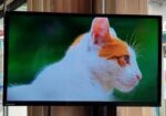WALTON-32-INCHI SMART TV VOICE CONTROL