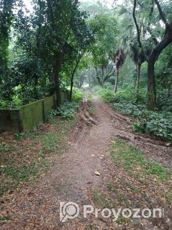 আশুলিয়া “নাভানা ভ্যালী” প্রকল্পে ২.৫০ কাঠা সাইজ