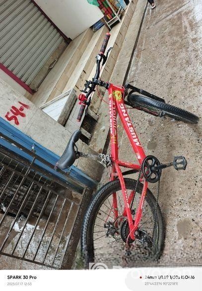 Mustang Bicycled