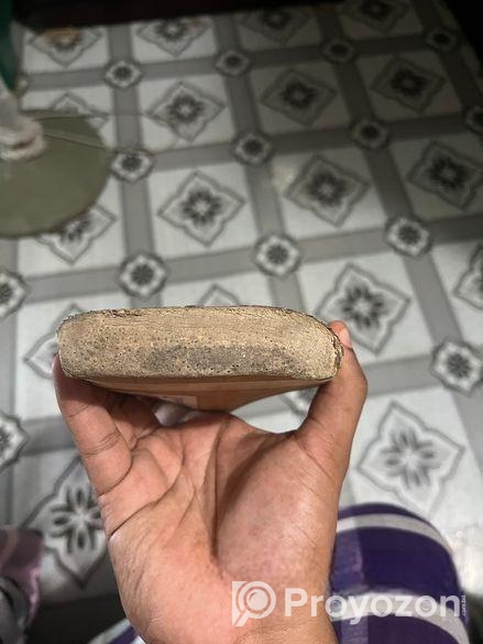 cricket bat