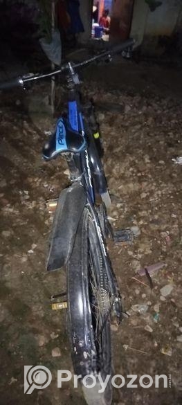 Bicycle for Sale