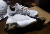 Jordan Ultra Fly 3 Low ‘white