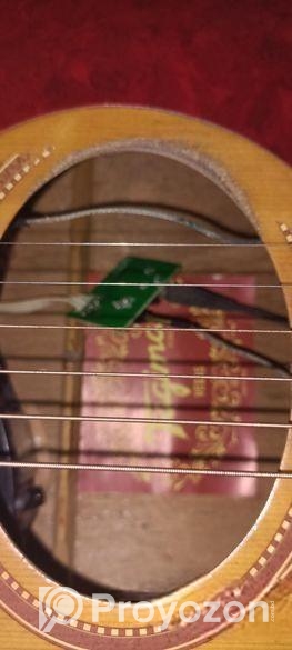 Guiter Sell Hobe