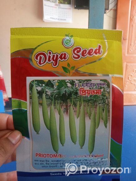 হাইব্রিড ধুন্দল বীজ