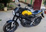 Yamaha XSR 155 . 2024