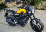 Yamaha XSR 155 . 2024