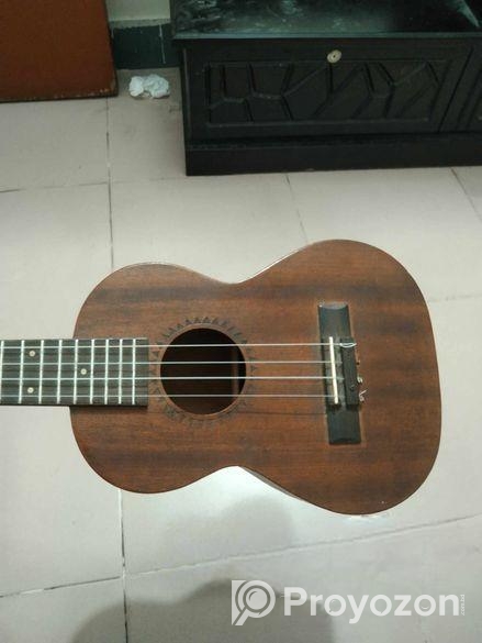 Guiter