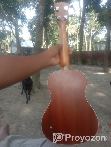 Ukulele Sell Post