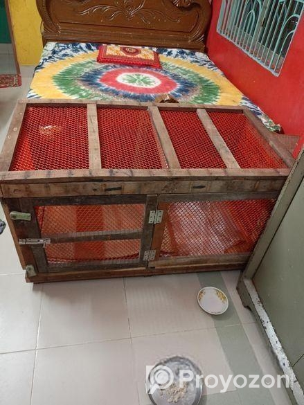 খুব মজবুত করে বিড়ালের জন্য তৈরি করা খাঁচা