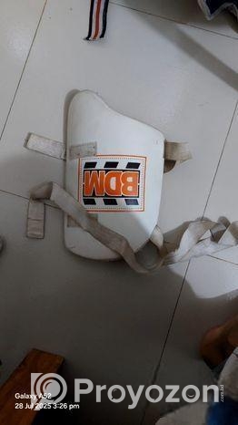 Cricket kit