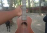 Ukulele Sell Post
